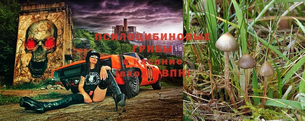 кристаллы Арсеньев