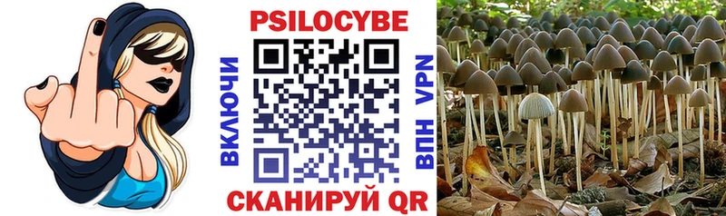 как найти закладки Горно-Алтайск Галлюциногенные грибы мицелий